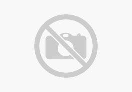 FIAT 500 500e Cabrio 42 kWh (118 PS)